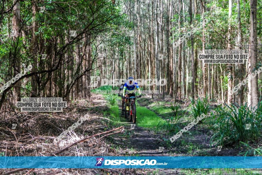 3° Desafio 100km de Terra