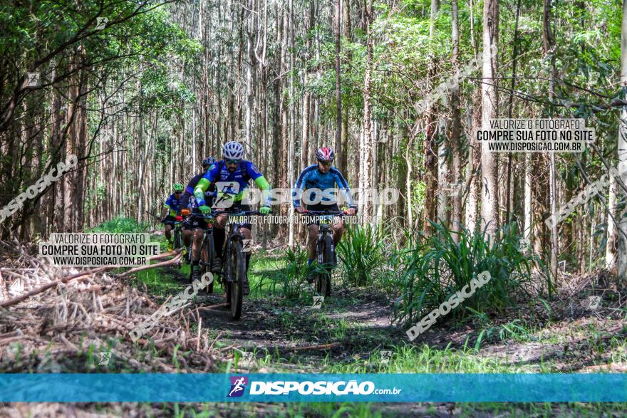 3° Desafio 100km de Terra