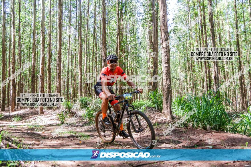 3° Desafio 100km de Terra