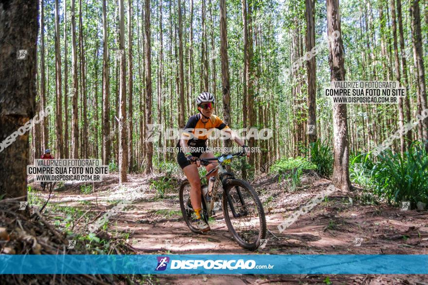 3° Desafio 100km de Terra