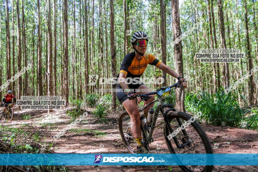 3° Desafio 100km de Terra