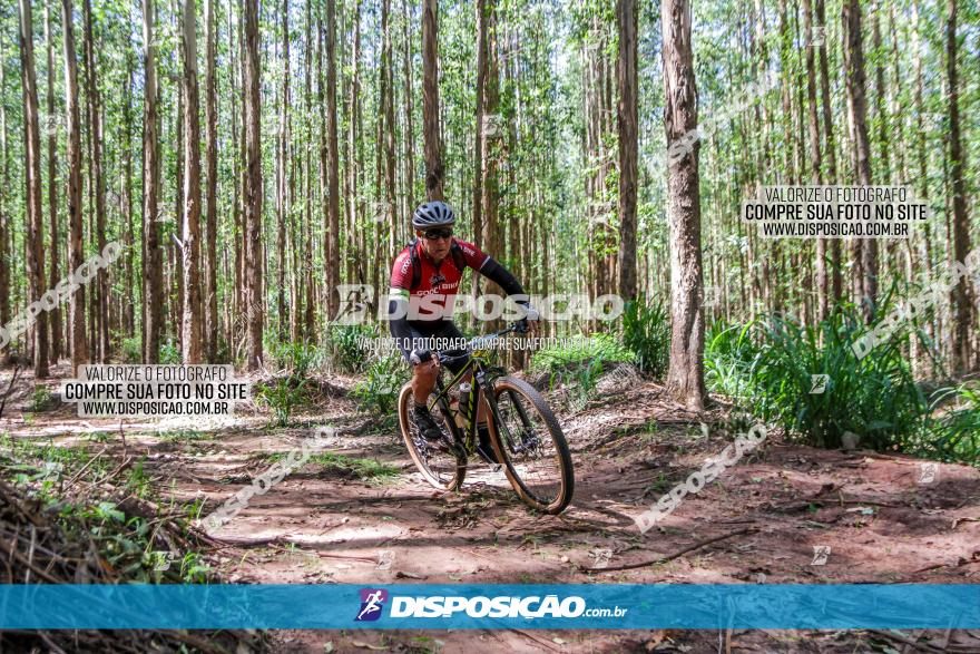 3° Desafio 100km de Terra