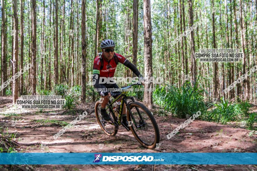 3° Desafio 100km de Terra