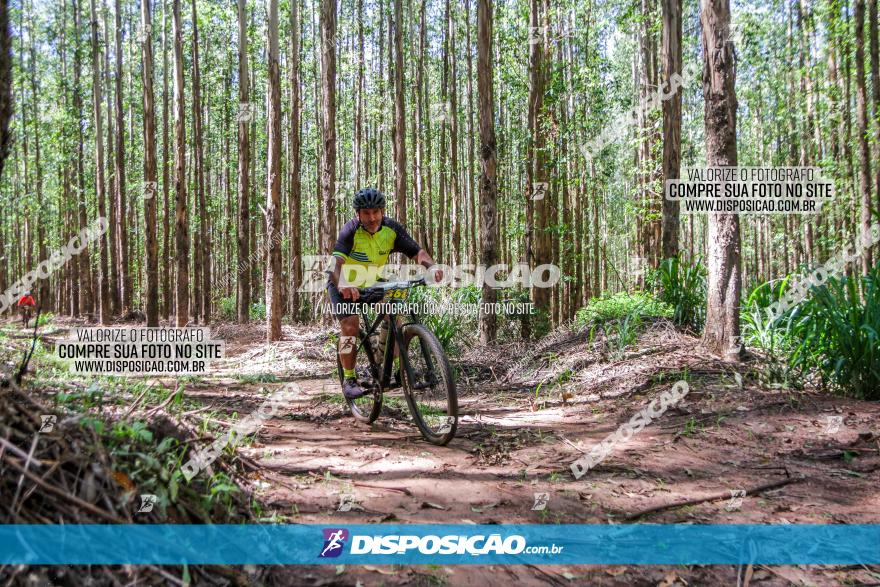 3° Desafio 100km de Terra