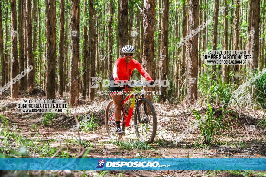 3° Desafio 100km de Terra