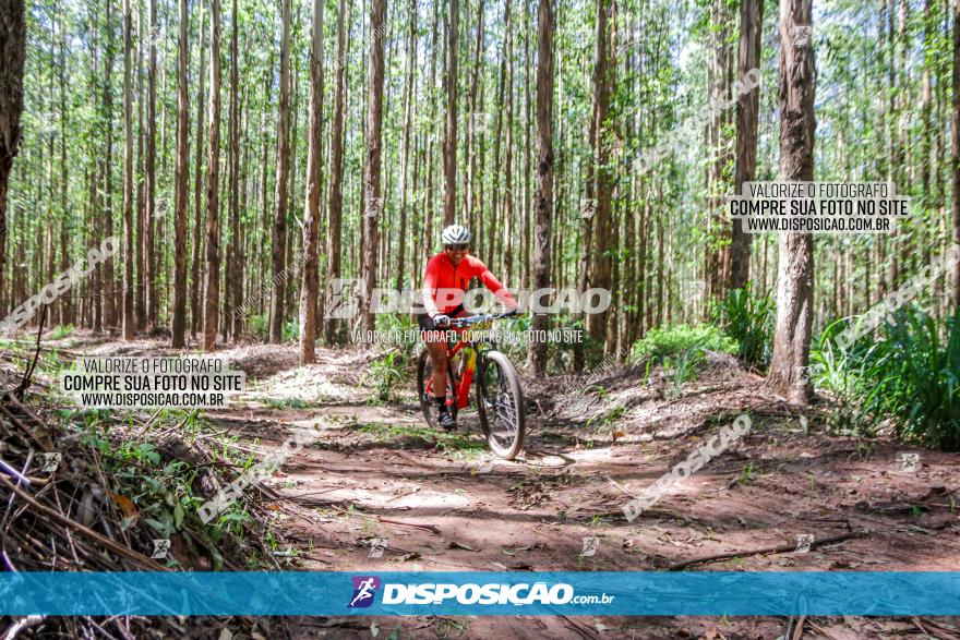 3° Desafio 100km de Terra