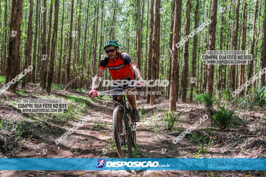 3° Desafio 100km de Terra