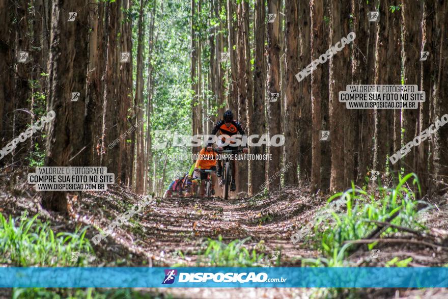 3° Desafio 100km de Terra