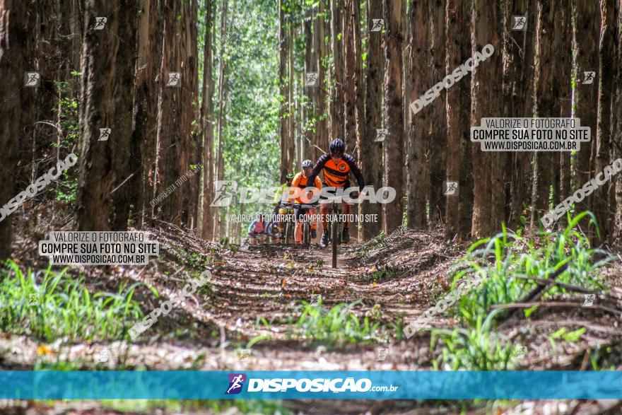 3° Desafio 100km de Terra