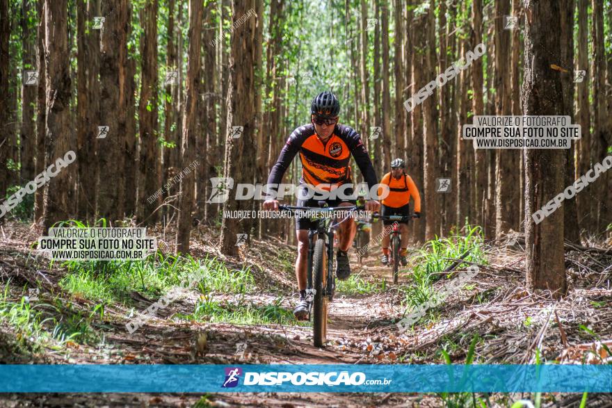 3° Desafio 100km de Terra