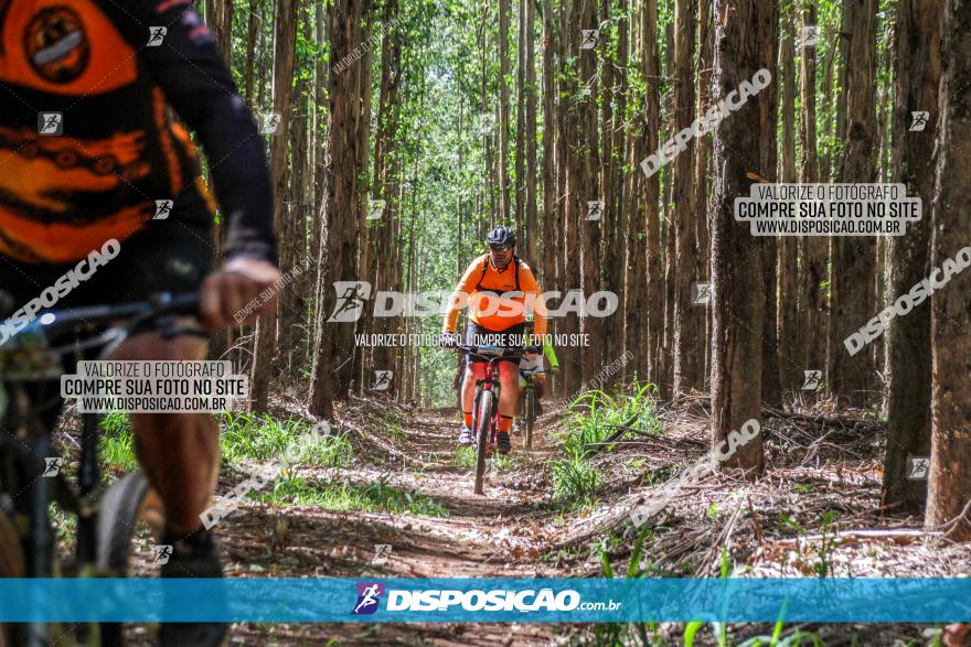 3° Desafio 100km de Terra