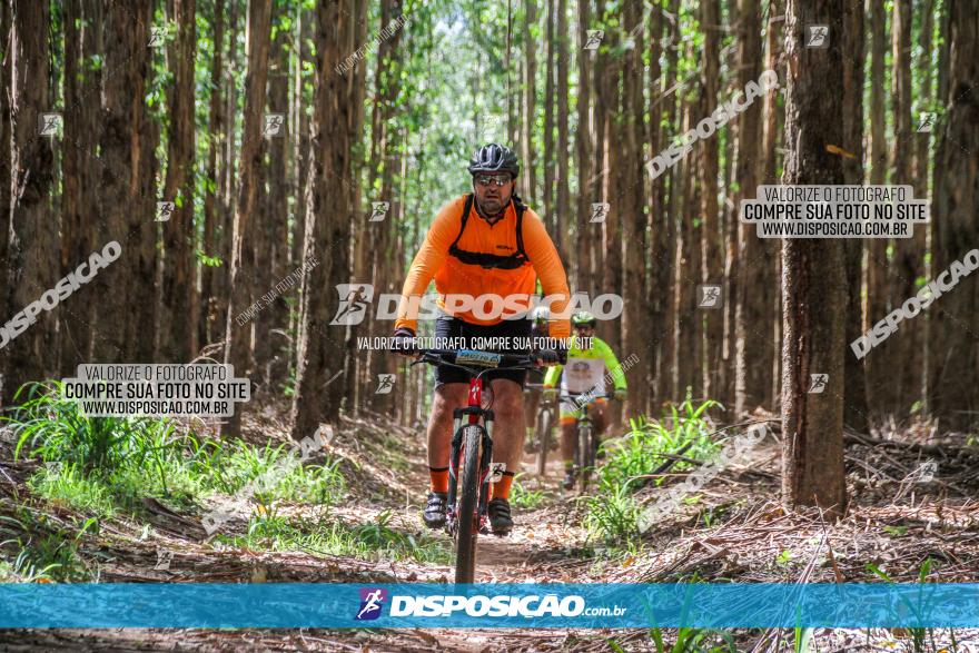 3° Desafio 100km de Terra