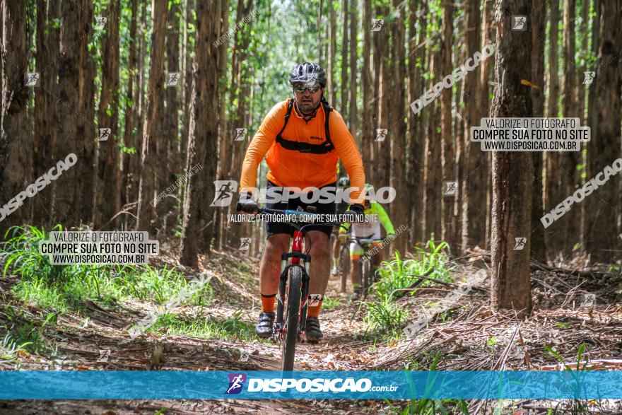 3° Desafio 100km de Terra