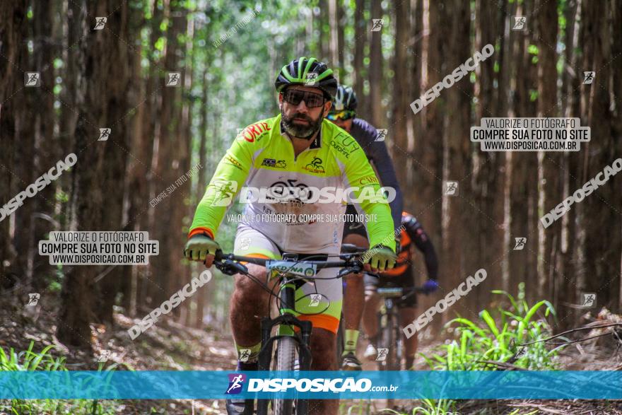 3° Desafio 100km de Terra