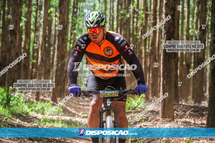 3° Desafio 100km de Terra