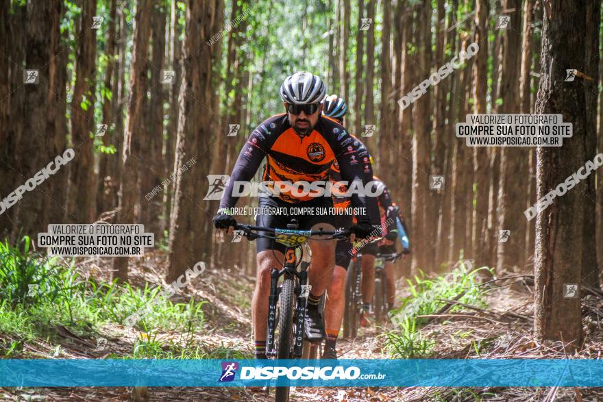 3° Desafio 100km de Terra