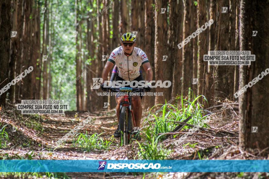 3° Desafio 100km de Terra