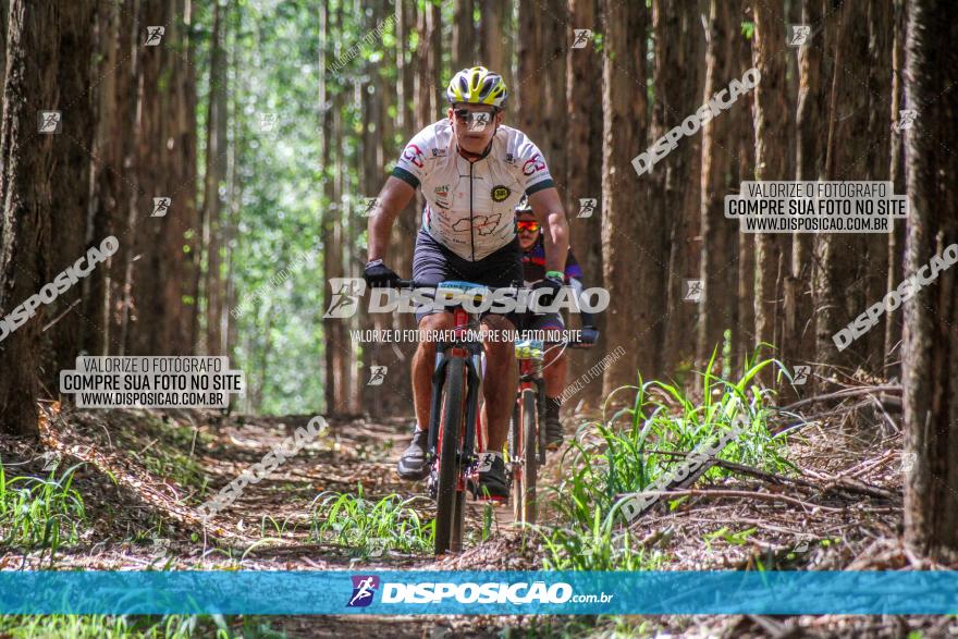 3° Desafio 100km de Terra