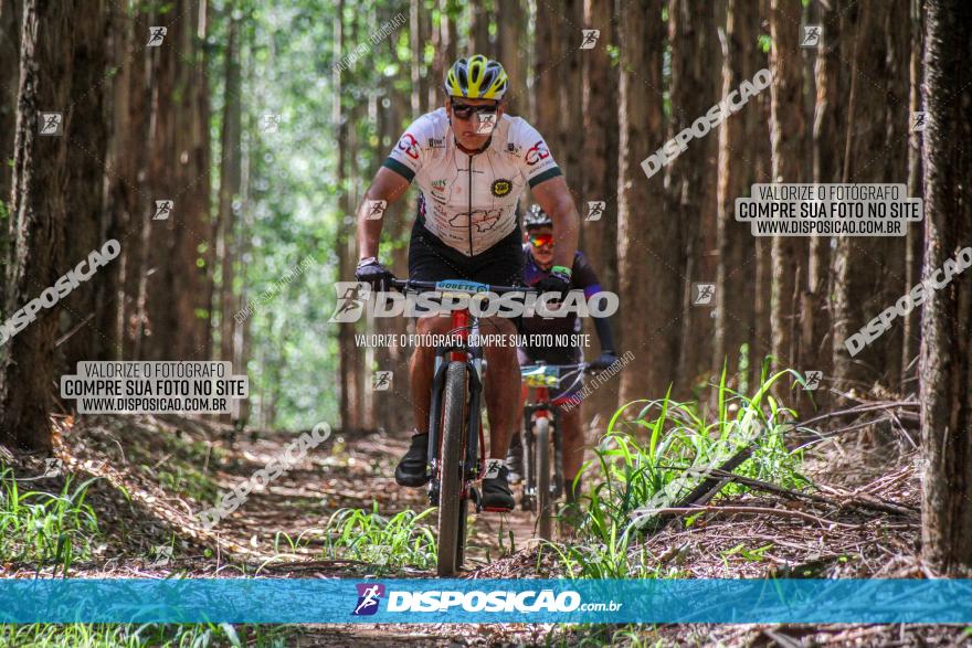 3° Desafio 100km de Terra