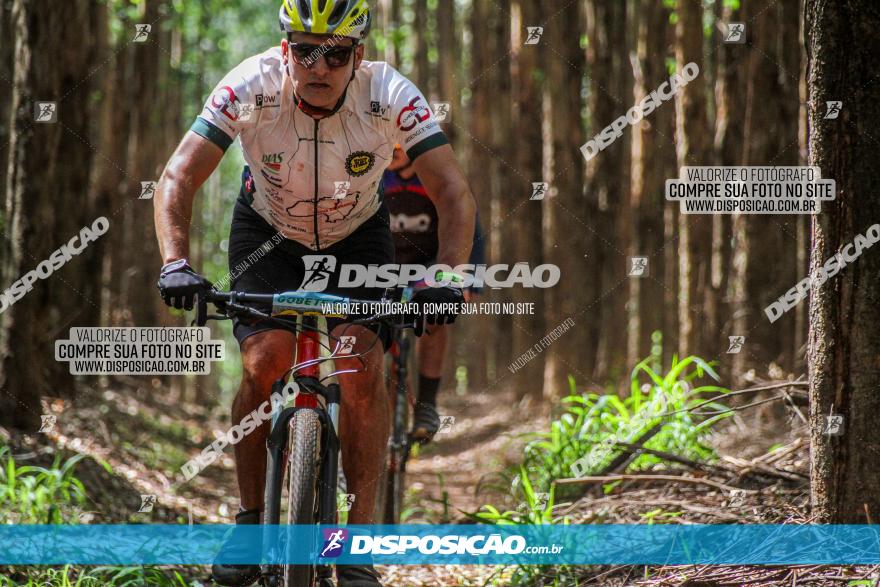 3° Desafio 100km de Terra