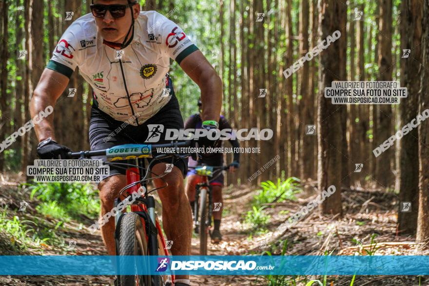 3° Desafio 100km de Terra