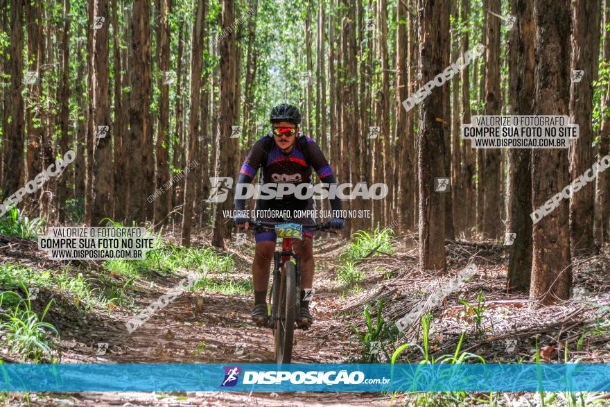 3° Desafio 100km de Terra