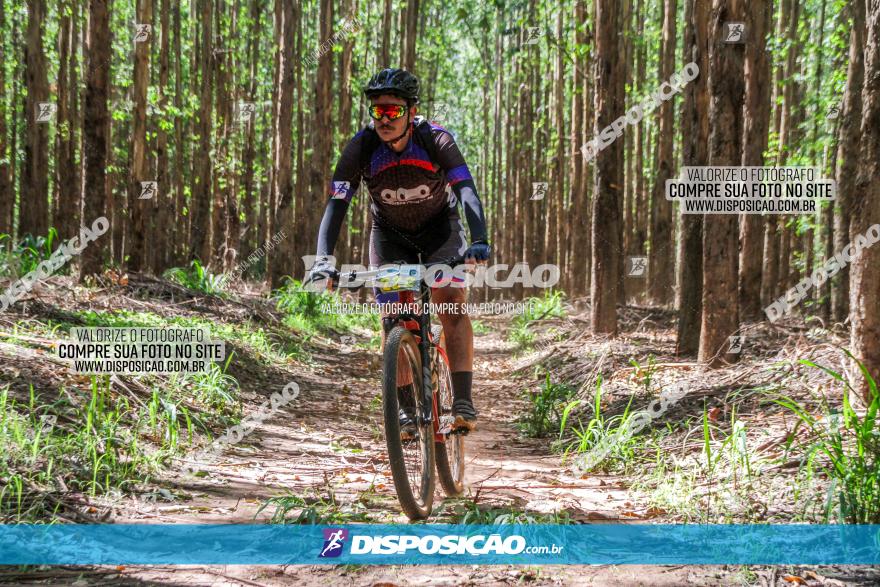 3° Desafio 100km de Terra