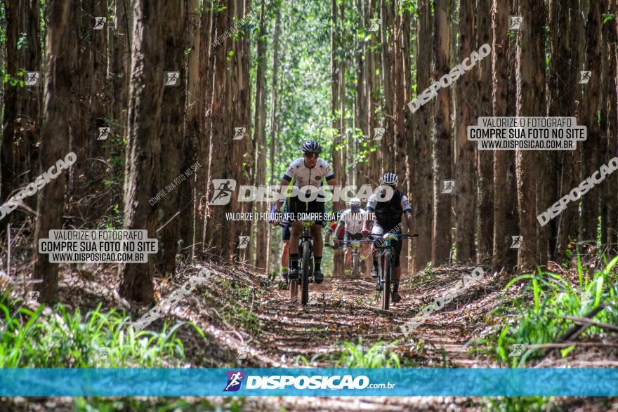 3° Desafio 100km de Terra