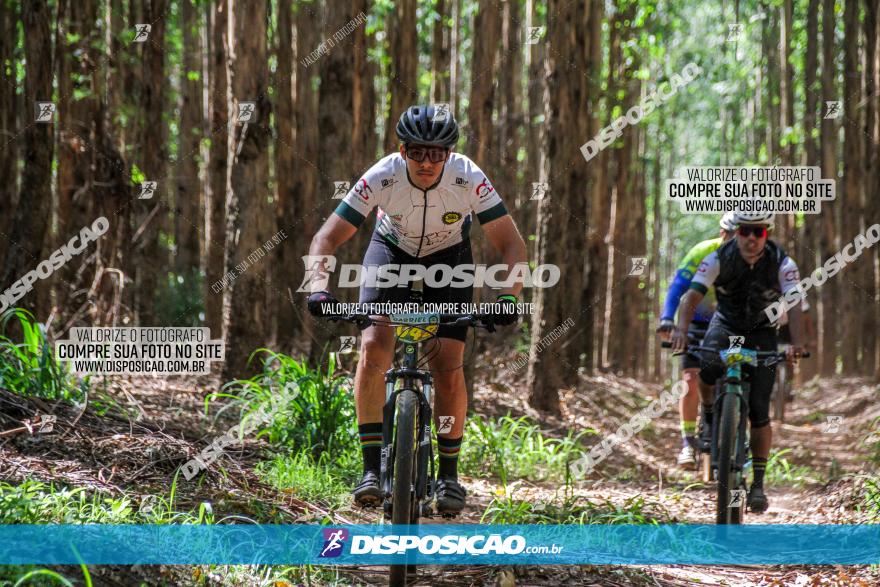 3° Desafio 100km de Terra