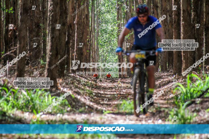 3° Desafio 100km de Terra