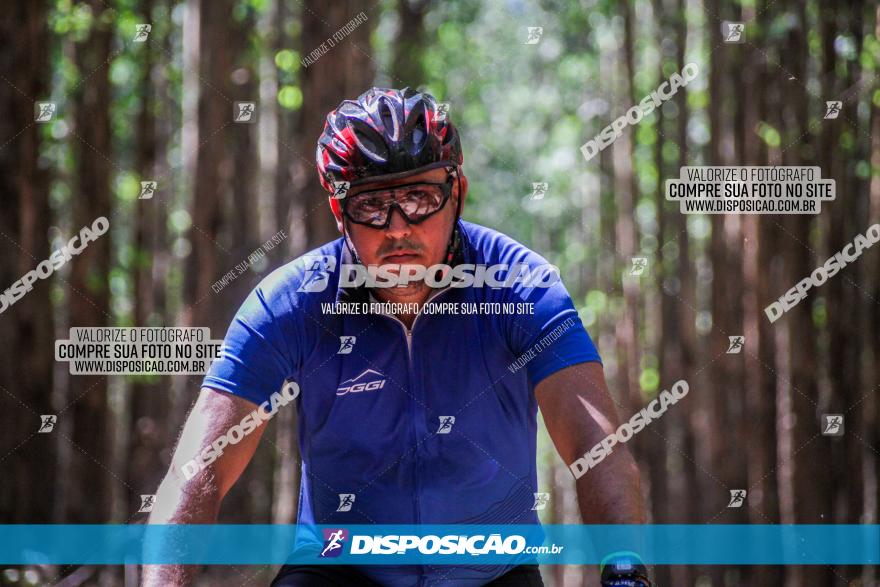 3° Desafio 100km de Terra