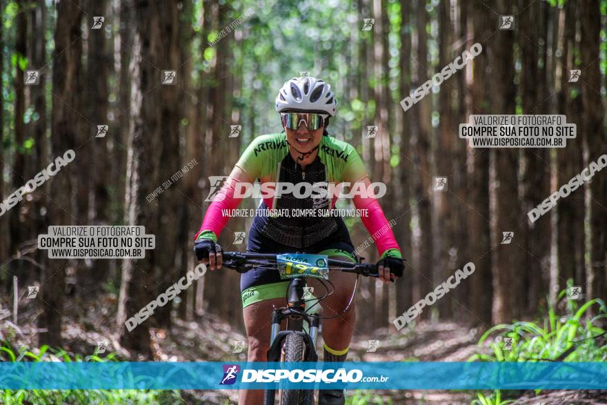 3° Desafio 100km de Terra