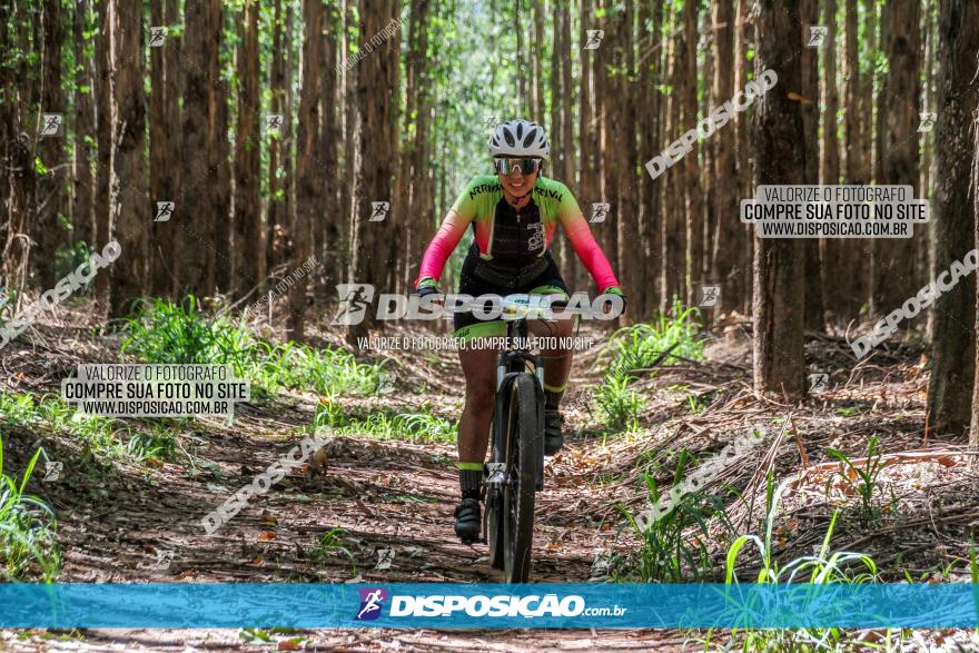 3° Desafio 100km de Terra