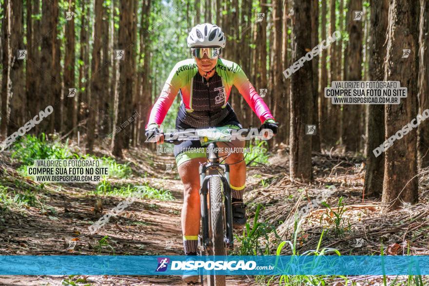 3° Desafio 100km de Terra