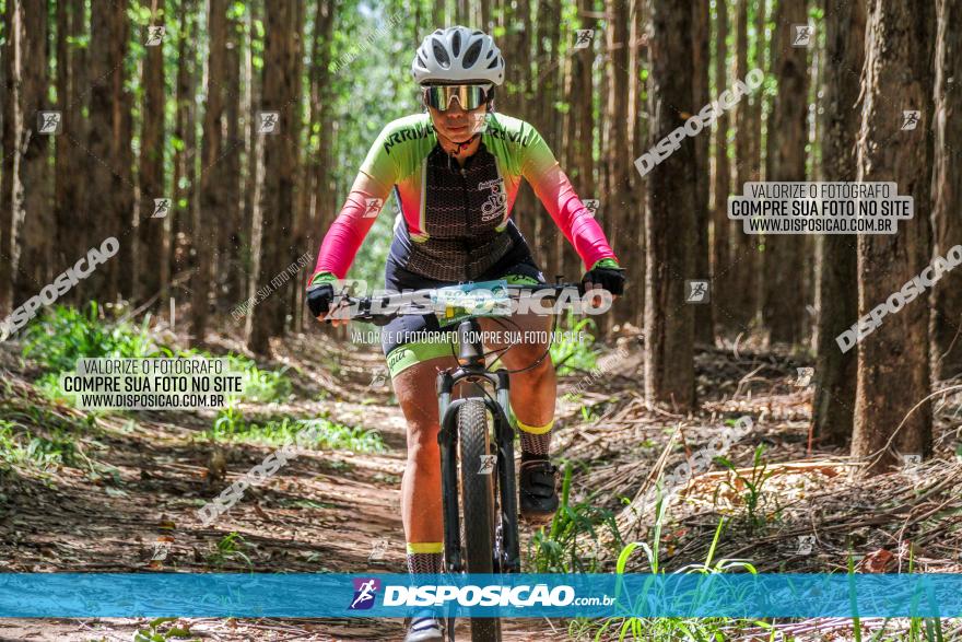 3° Desafio 100km de Terra