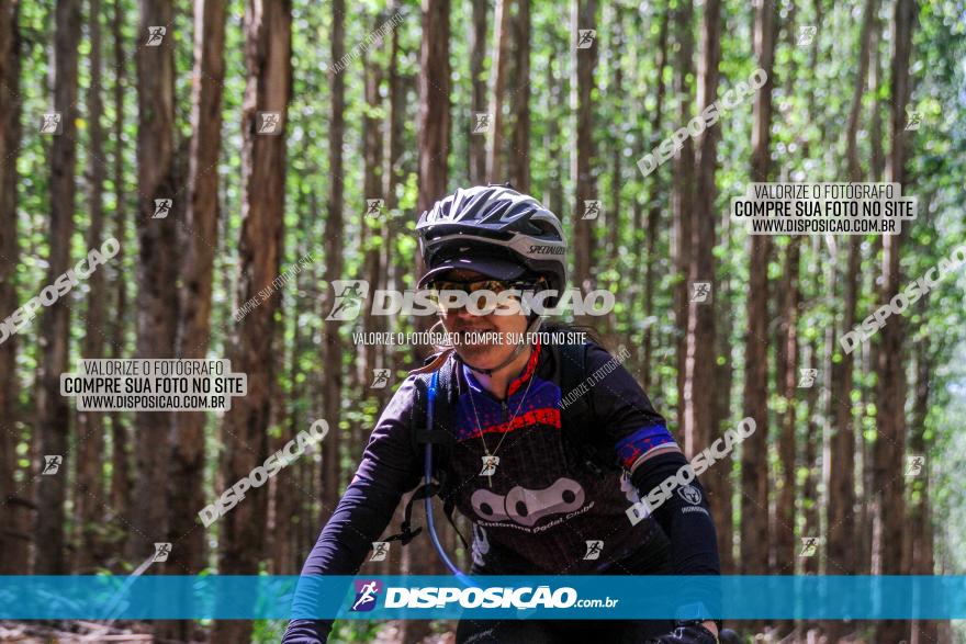 3° Desafio 100km de Terra