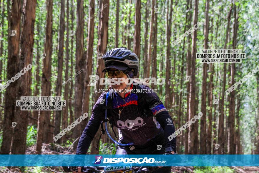 3° Desafio 100km de Terra