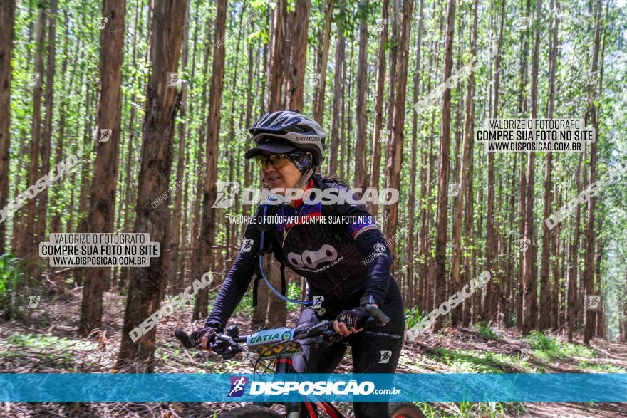 3° Desafio 100km de Terra