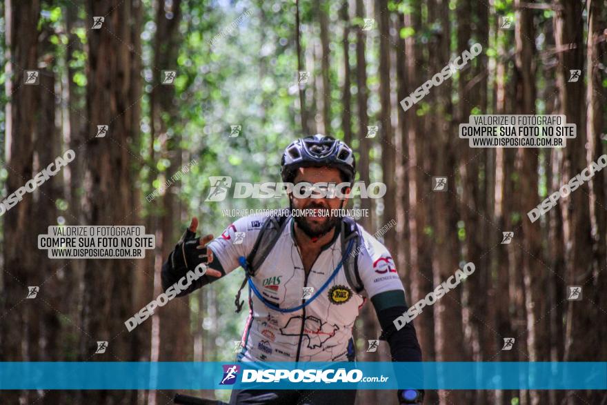 3° Desafio 100km de Terra