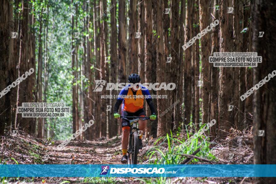 3° Desafio 100km de Terra