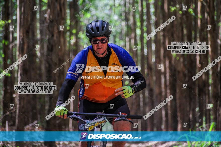 3° Desafio 100km de Terra