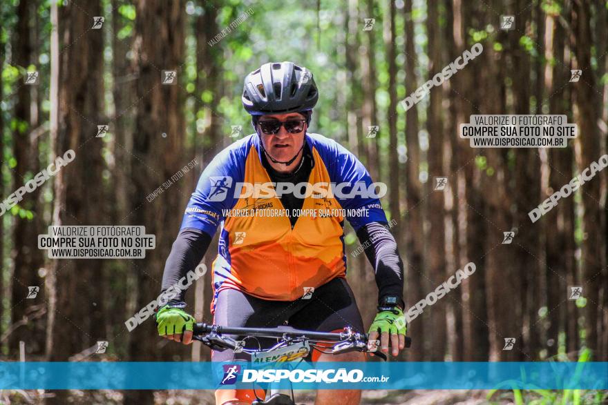 3° Desafio 100km de Terra