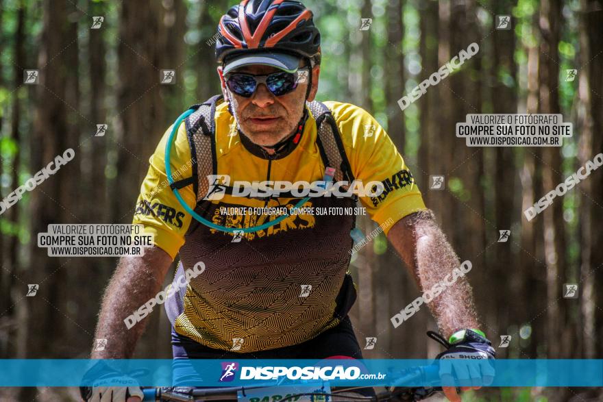 3° Desafio 100km de Terra