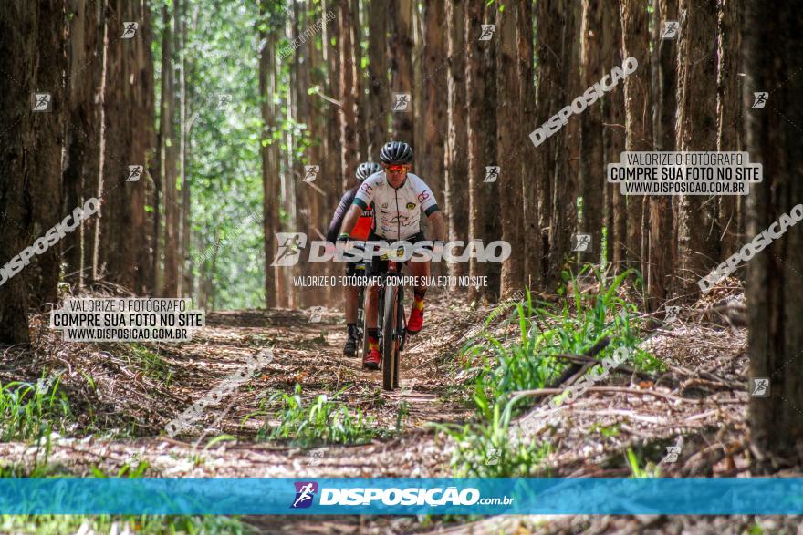 3° Desafio 100km de Terra