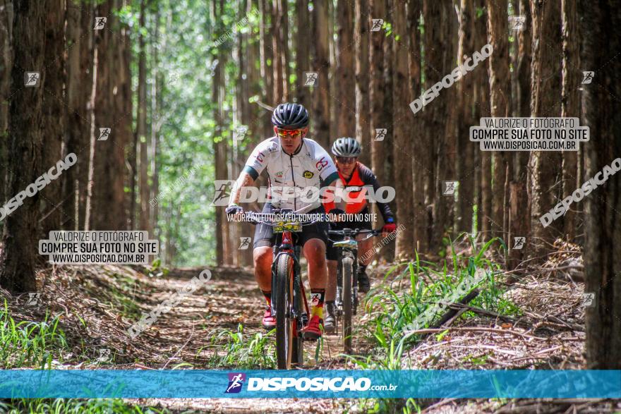 3° Desafio 100km de Terra