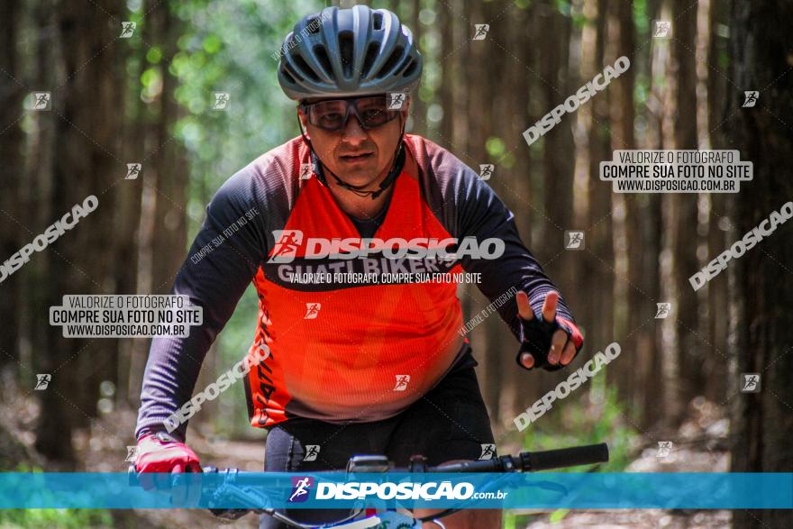 3° Desafio 100km de Terra