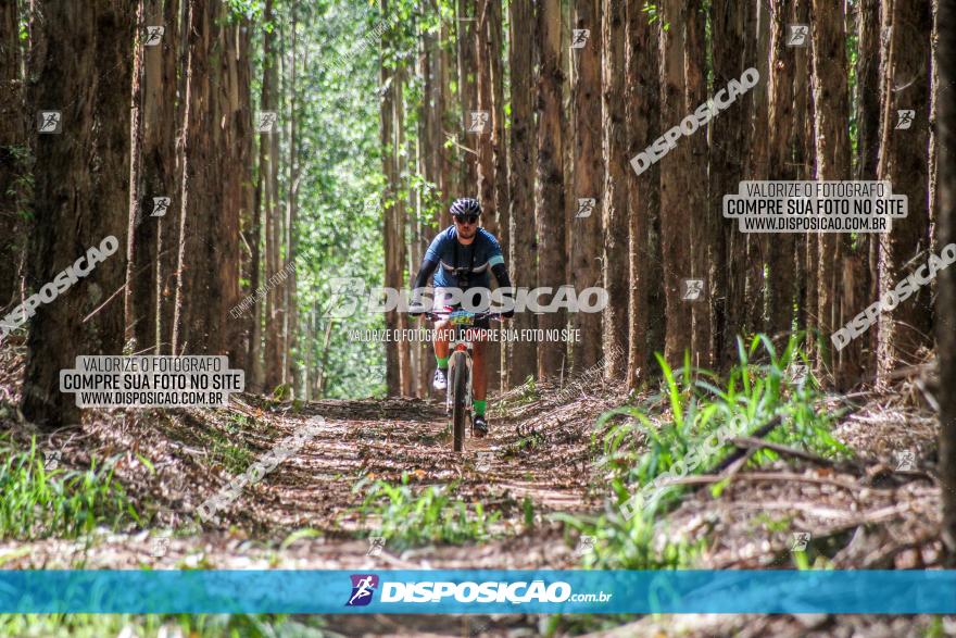 3° Desafio 100km de Terra