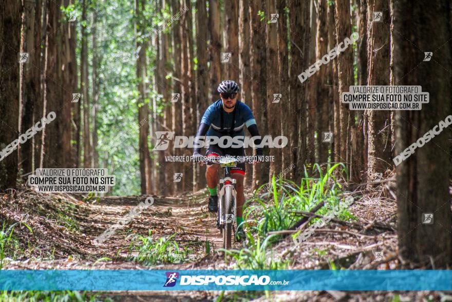 3° Desafio 100km de Terra