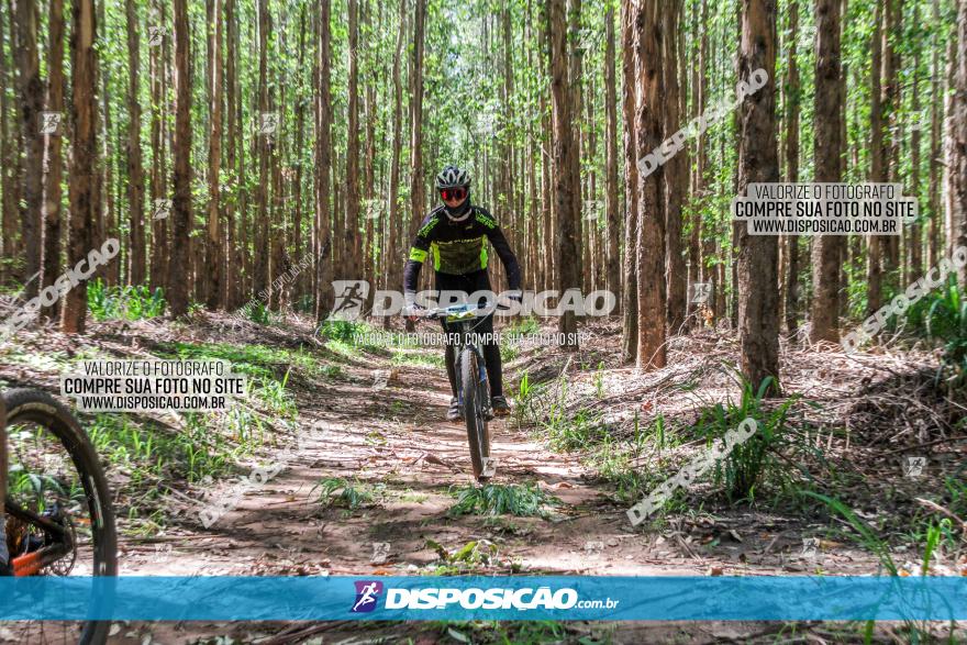 3° Desafio 100km de Terra