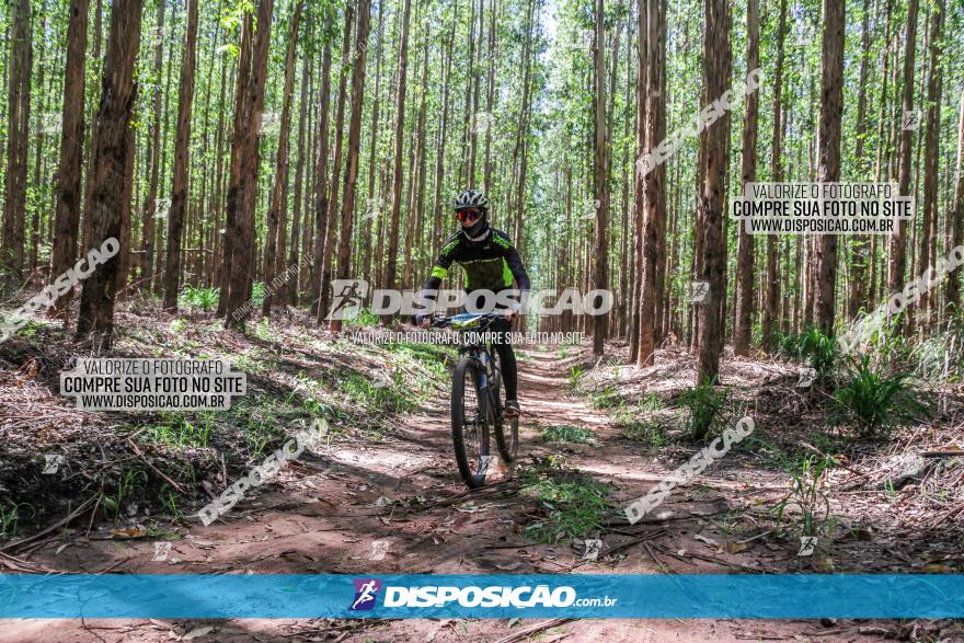 3° Desafio 100km de Terra